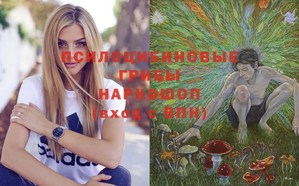 мяу мяу мука Михайлов
