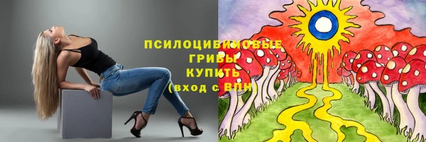 хмурый Абинск